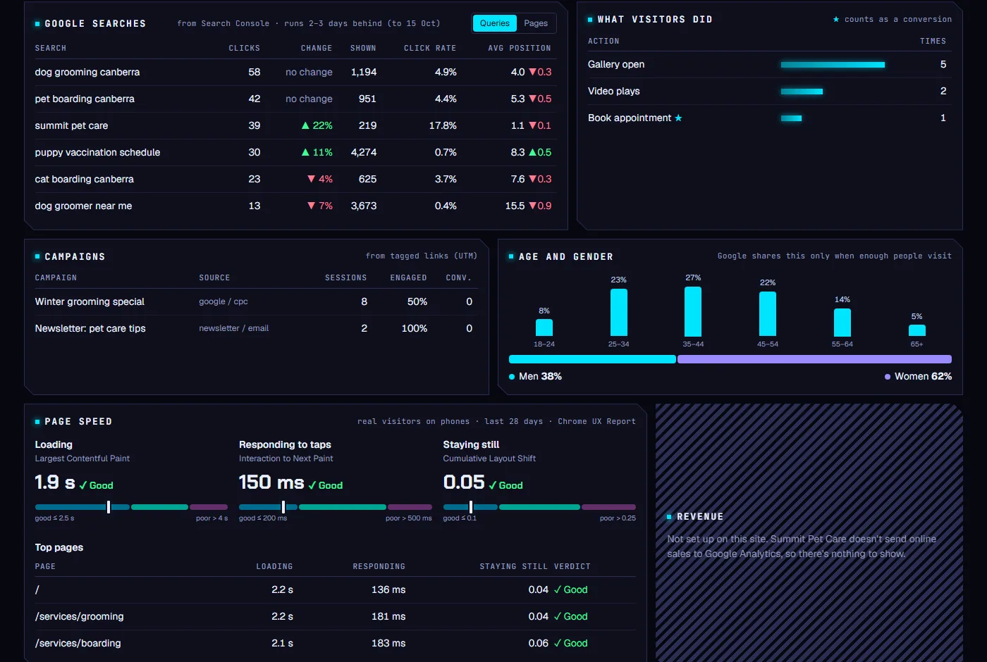 Google searches from Search Console, campaigns, age and gender, and Core Web Vitals page speed cards.